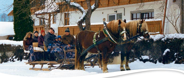 Winter - Pferdekutsche